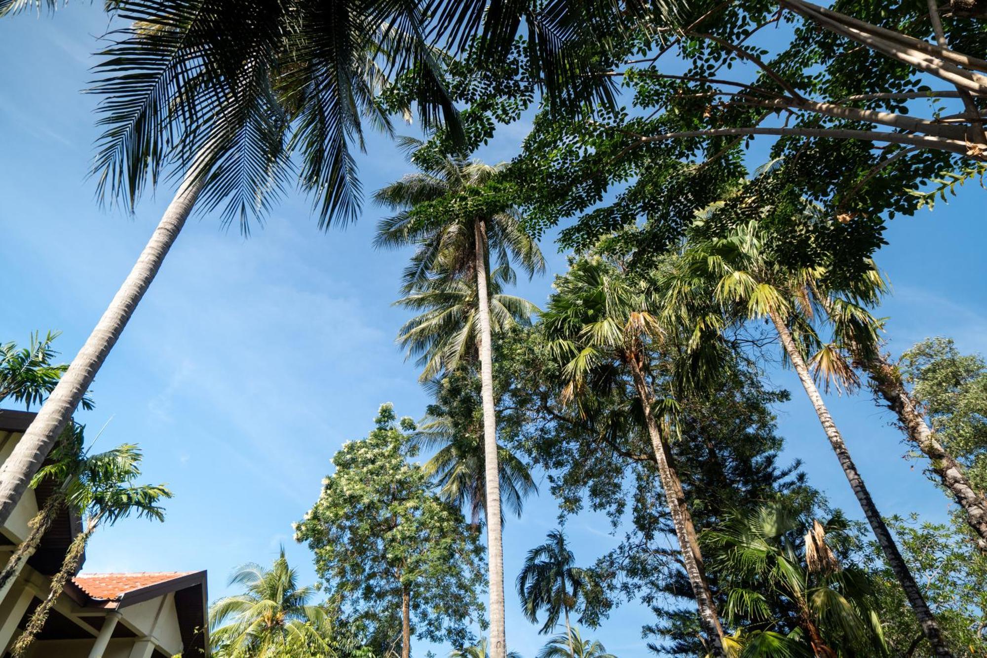 Phuket Leelavadee Hua Ting Resort Patong Exterior photo